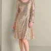 Sancerre Sequin Dress<Soft Surroundings Outlet